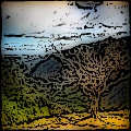 JKJ - Sketch with Color