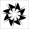 Reflective Occlusion Map