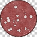 Sausage