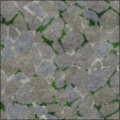 Mossy Flagstone