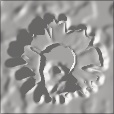 Variation 4
