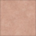 Human Skin with Hair
