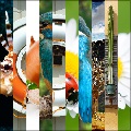 10 Images or Photo Stripes Mix