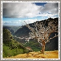 Old Foto Frame