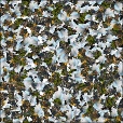 Variation 5