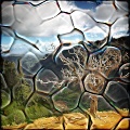 Organic glass