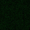 HEXtech noise