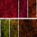 Gelagoela Grid