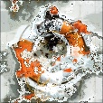 Variation 7