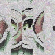 Variation 8