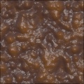 Lizardskin
