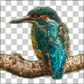 3D Perspective