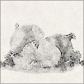 CrossHatch