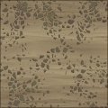 Rocky Sand
