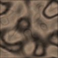 Diffuse Map