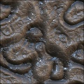 Alpha Brain