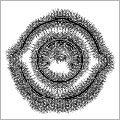 Image-oriented Hatching