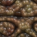 Creeping Flesh