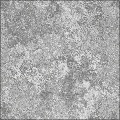 Rotten_Plaster