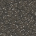 Moistened Elephant Skin