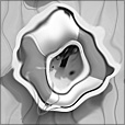 Bump Map