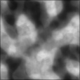 Bump Map