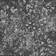 Bump Map