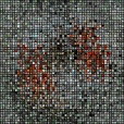 Variation 2