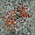 Variation 4