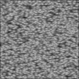 Bump Map