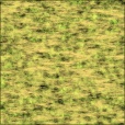 Diffuse Map