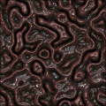 Intestinal