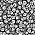 Bump Map