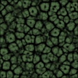 Diffuse Map