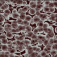 Diffuse Map