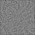 Bump Map