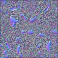 Normal Map