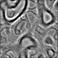 Bump Map