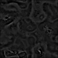 Bump Map