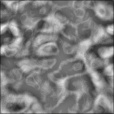 Bump Map