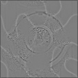 Bump Map