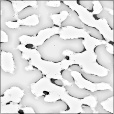 Bump Map