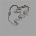 Concrete Crack