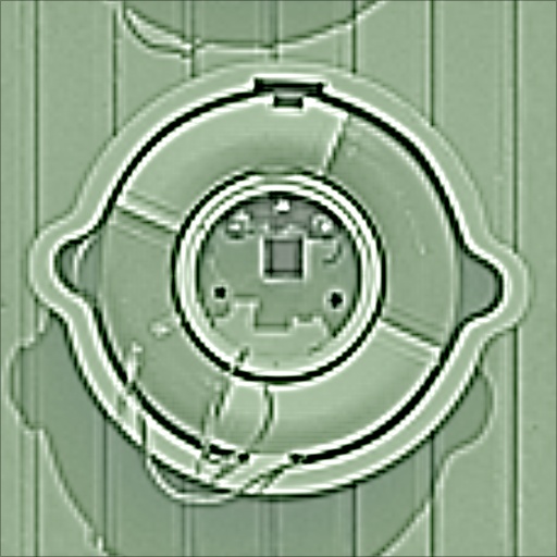 Variation 8
