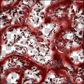 gore_splatter
