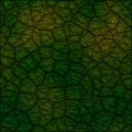 Old Dragon Skin