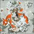 Diffuse Map