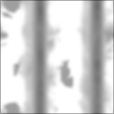 Bump Map