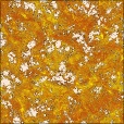 Diffuse Map