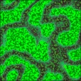 Diffuse Map
